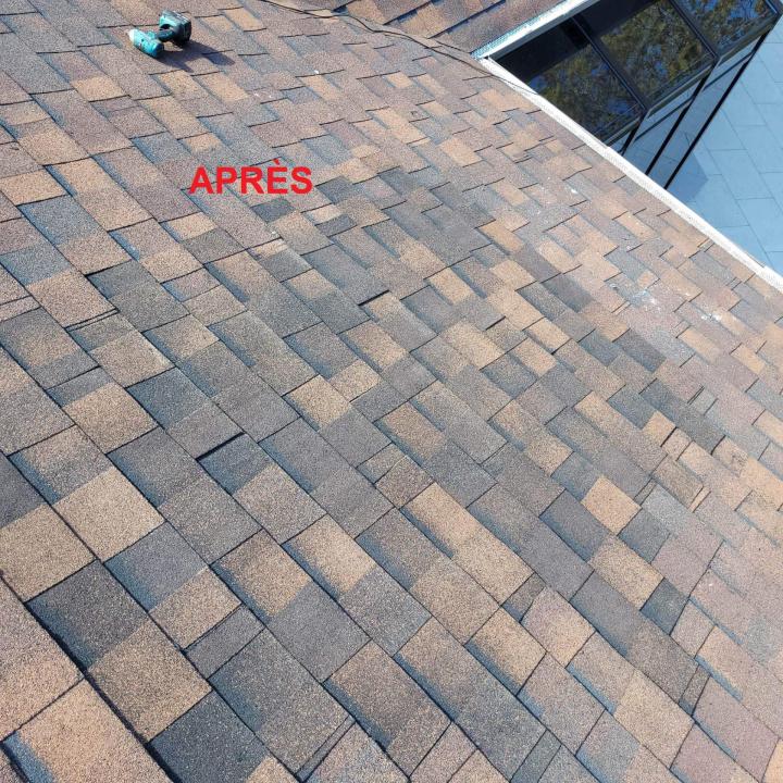 Réparation de tous types de toitures