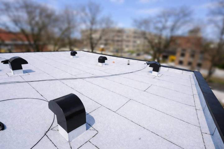 634882660 921109554121627 17406458684154755 n